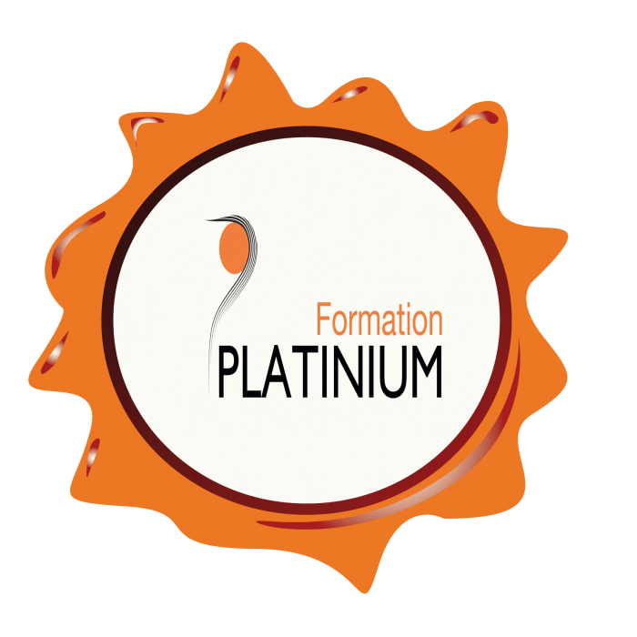 reunion_projets-min formation certifante lyon